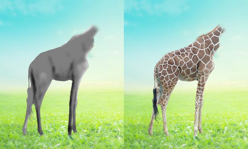 giraffe DB results