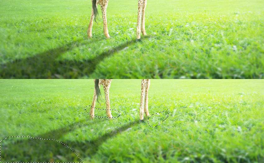giraffe shadow masking